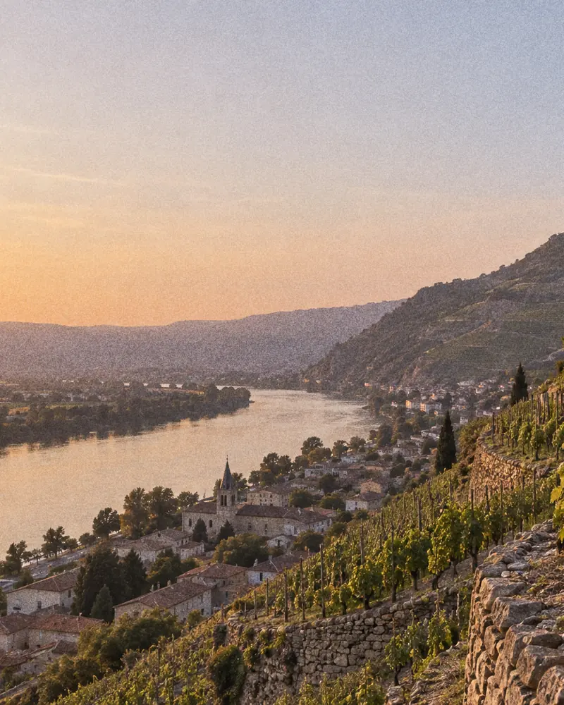 The Rhône river and Côte Rôtie terraces at golden hour, for our Rhône Reverie collection of Rhône Wine.