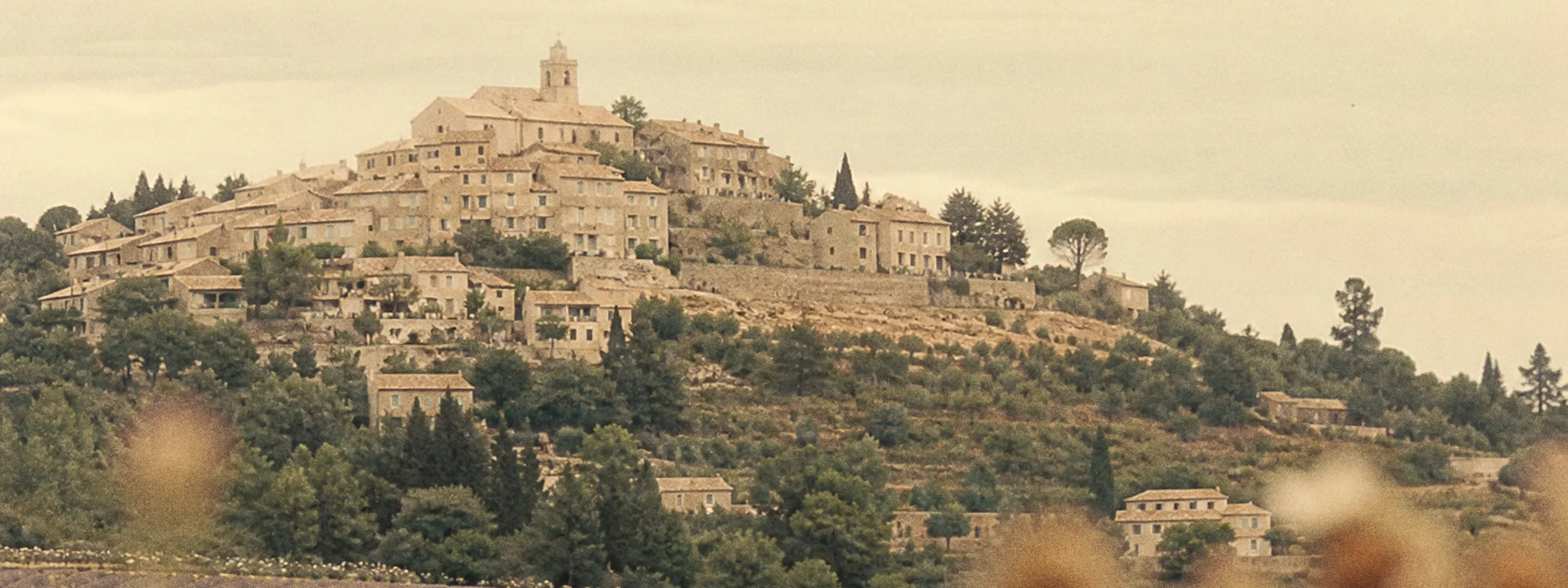 Provençal hilltop village above rows of lavender, the home of our Provence Rosé.