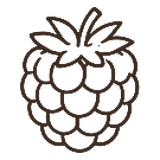 Raspberry