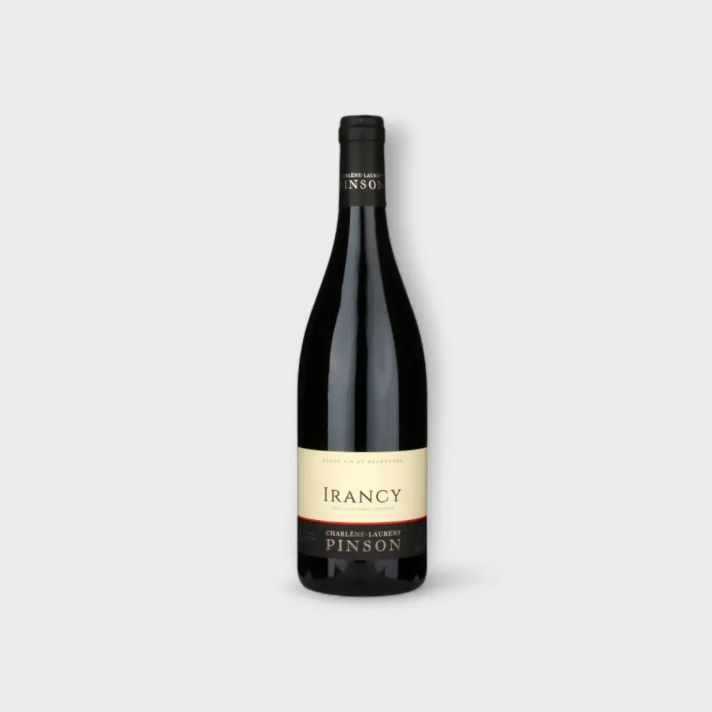 Domaine Pinson Frères Irancy 2020 - Burgundy - Domaine Pinson Frères